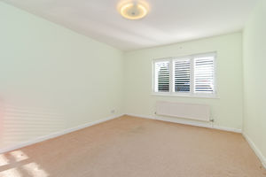 Trenham Drive